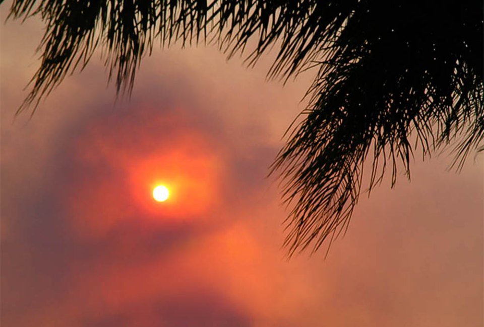 Ways to Help with the Los Angeles Wildfires Our hearts are with those affected by the wildfires in LA. Photo by Alex Miroshnichenko, via Flickr 2.0