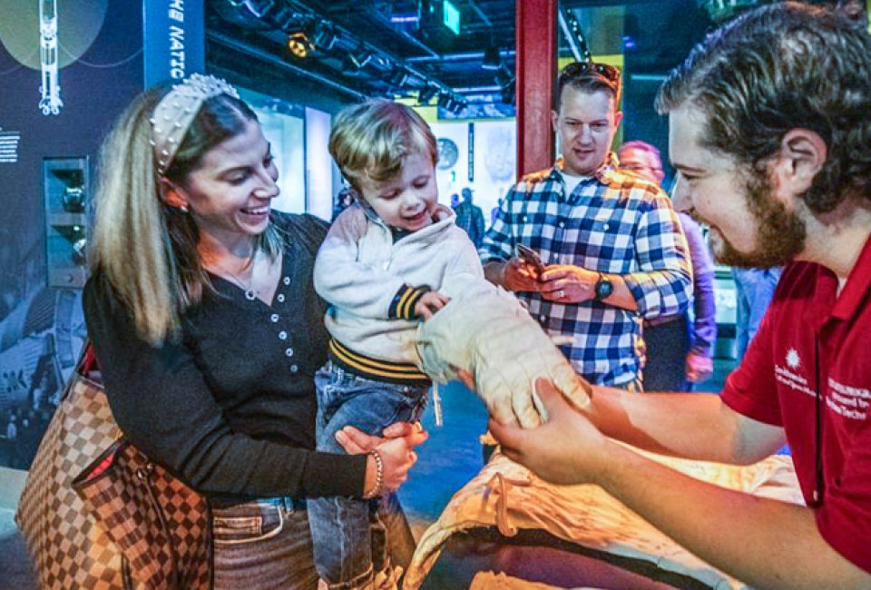 Free Things To Do Near DC in the Summer: National Air and Space Museum
