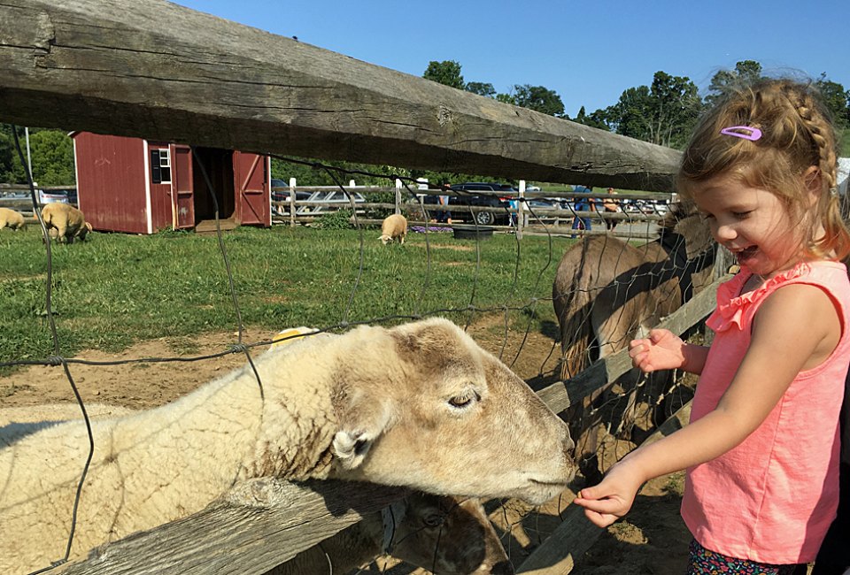 Enjoy fun on the farm during Alstede's Easter and Springtime Festival. Photo by Rose Gordon Sala