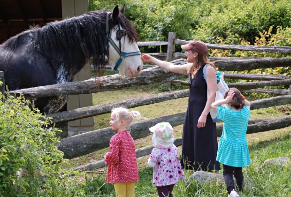 Visit with the animals at the Stamford Nature Center. Photo courtesy of the Stamford Nature Center