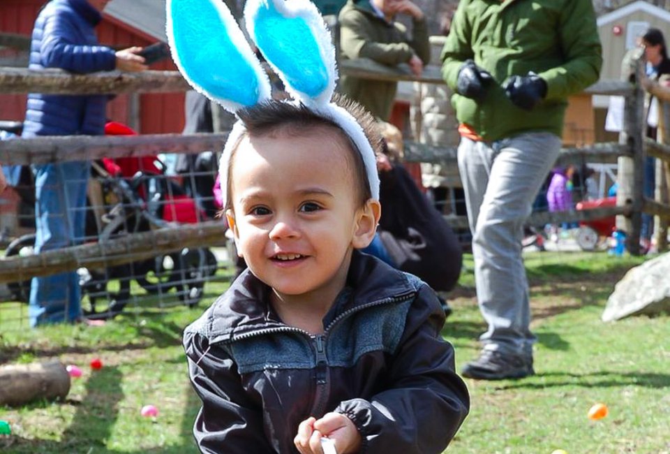Spring is in the air, and treats are everywhere thanks to these Easter egg hunts in Connecticut! Photo courtesy of the Stamford Museum and Nature Center 