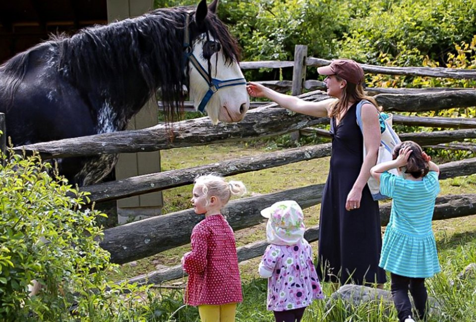 Have some amazing family experiences visiting Stamford with kids! Photo courtesy of the Stamford Arts & Nature Center