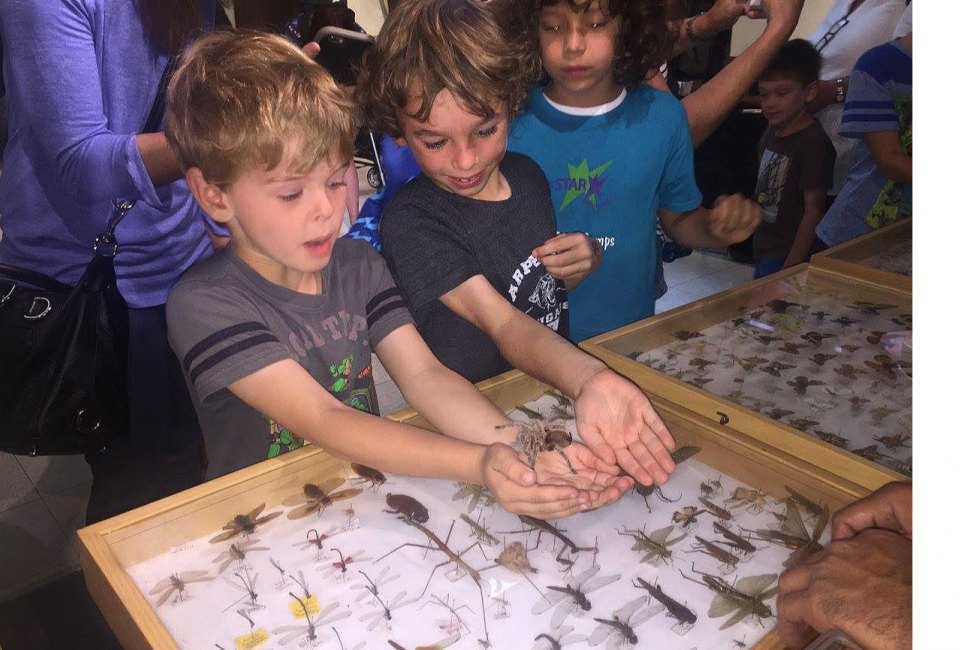 Get hands on with some creepy crawlers at the Enchanted Crawly Hallow's Eve. Photo courtesy of STAR Eco Station