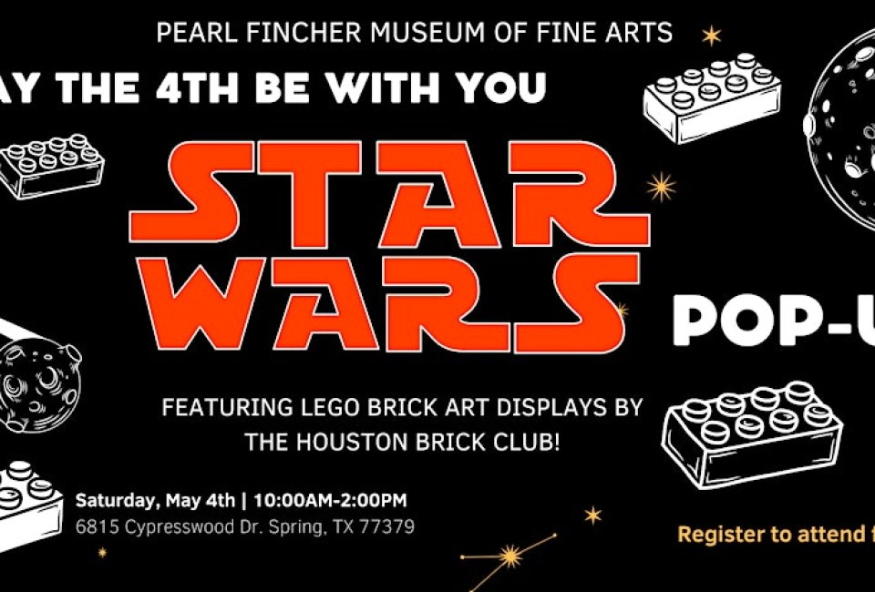 Star Wars LEGO® Brick Event Pearl Fincher Museum Mommy Poppins