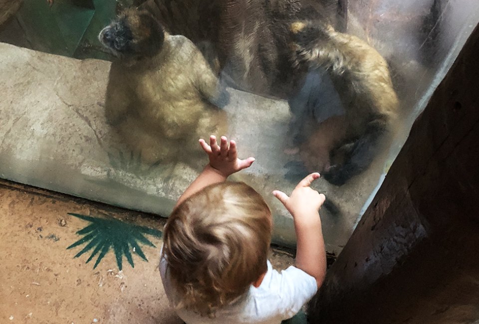 Indoor exhibits let kids get up close with animals in their habitats.