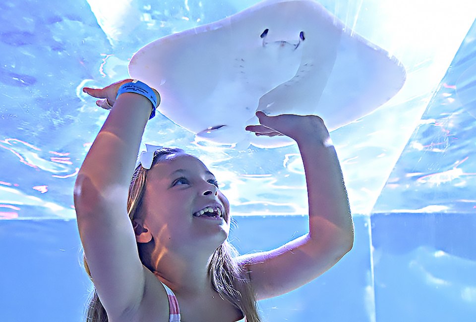 SeaQuest will offer hands-on experiences with sea life and other animals.