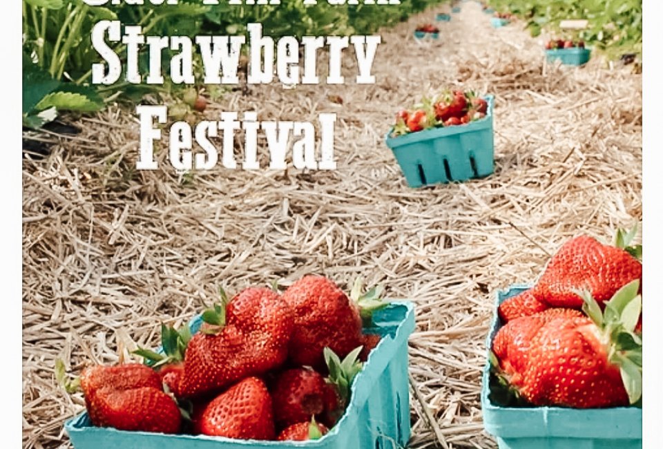 2025 Strawberry Festival at Cider Hill Farm