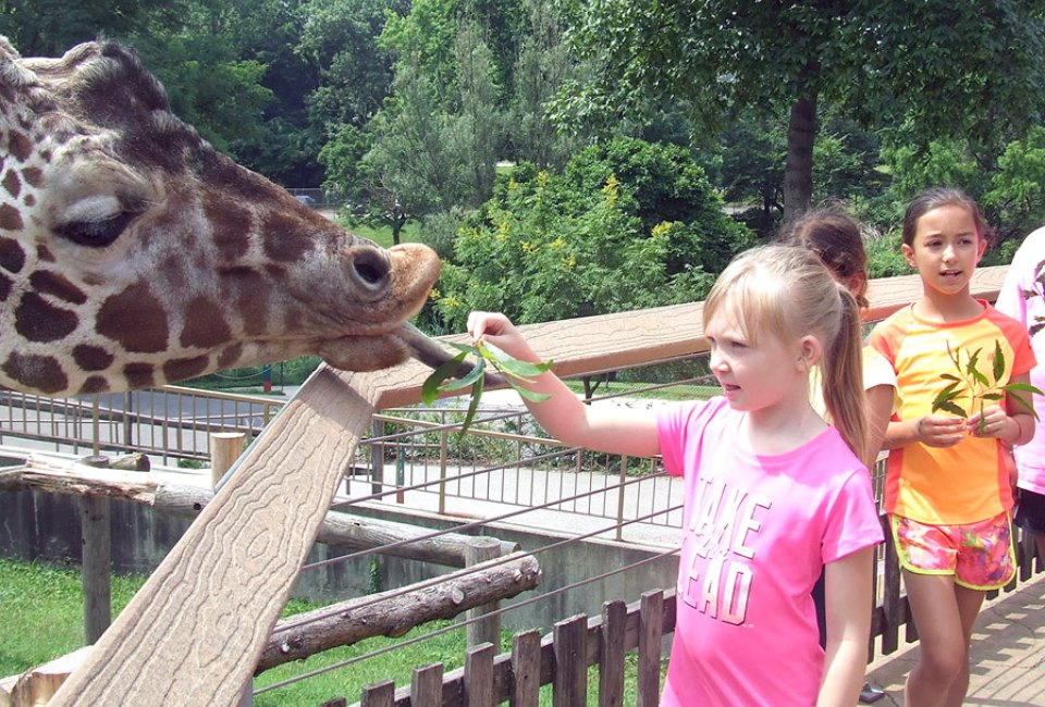Summer Camp at the Maryland Zoo is perfect for animal lovers. Photo courtesy of the zoo