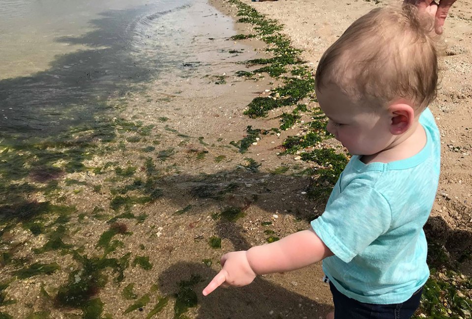 Little ones can explore the wonders of Sunken Meadow's shoreline.