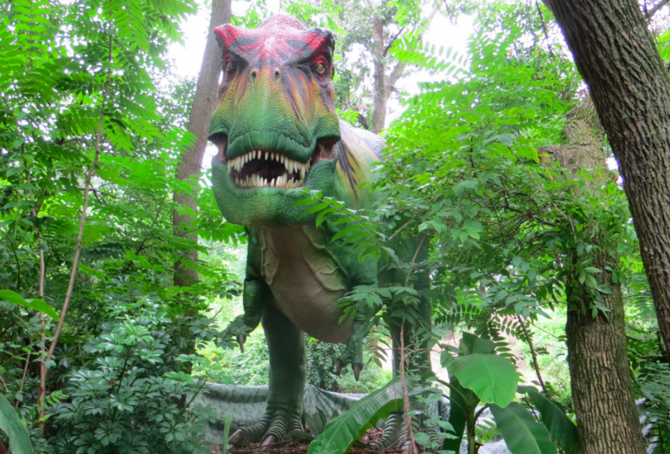 Look out for the T-Rex at the zoo this summer! Photo courtesy of Renee Gillett via Flickr