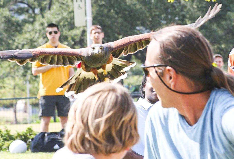 Take Me Outdoors Houston at Discovery Green. Photo courtesy of Discovery Green