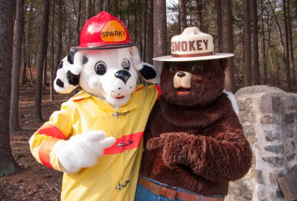  Smokey for Kids teaches children about fire safety through games, activities and other resources. Photo courtesy of Smokey for Kids