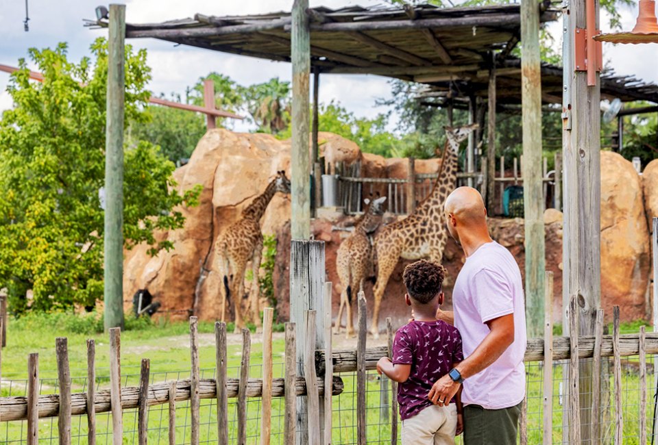 Zoo Tampa has lush tropical exhibits that will leave visitors in awe. Photo courtesy of the zoo
