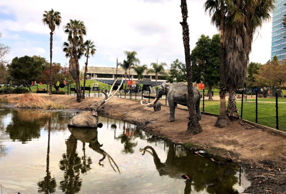 The La Brea Tar Pits are one of the  most famous fossil discovery spots in the world.