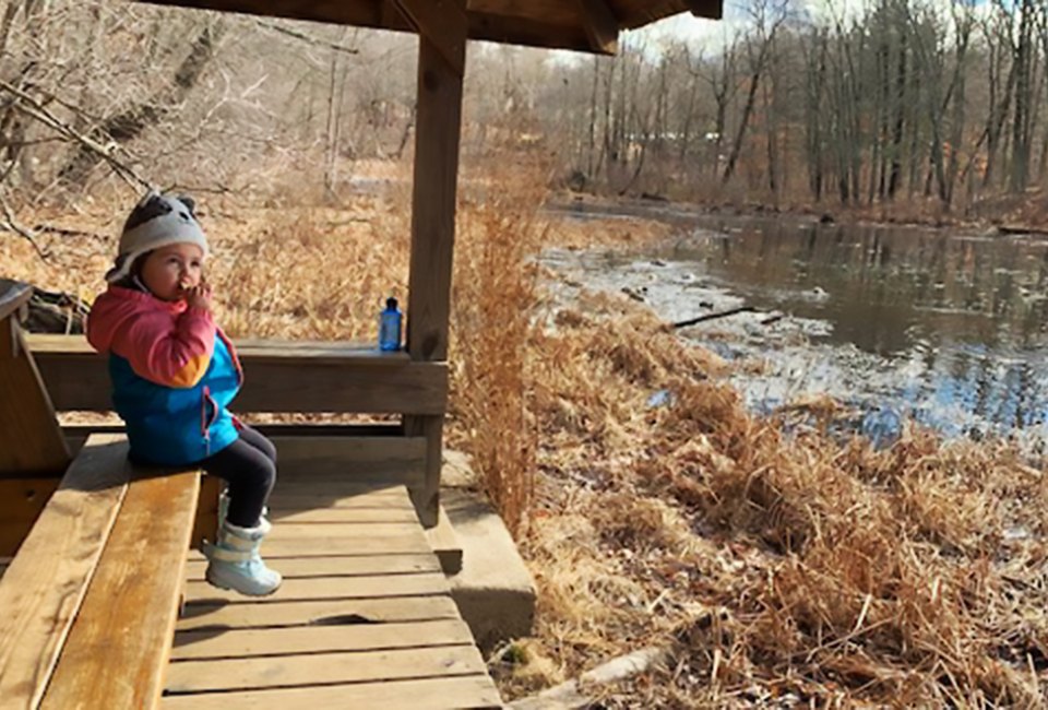 Enjoy a lakefront picnic mid-hike at Teatown Lake Reservation in Ossining.