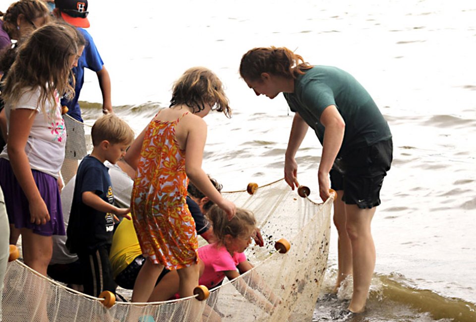 Take part in the Great Hudson Estuary Fish Count on Saturday. Photo courtesy of Teatown