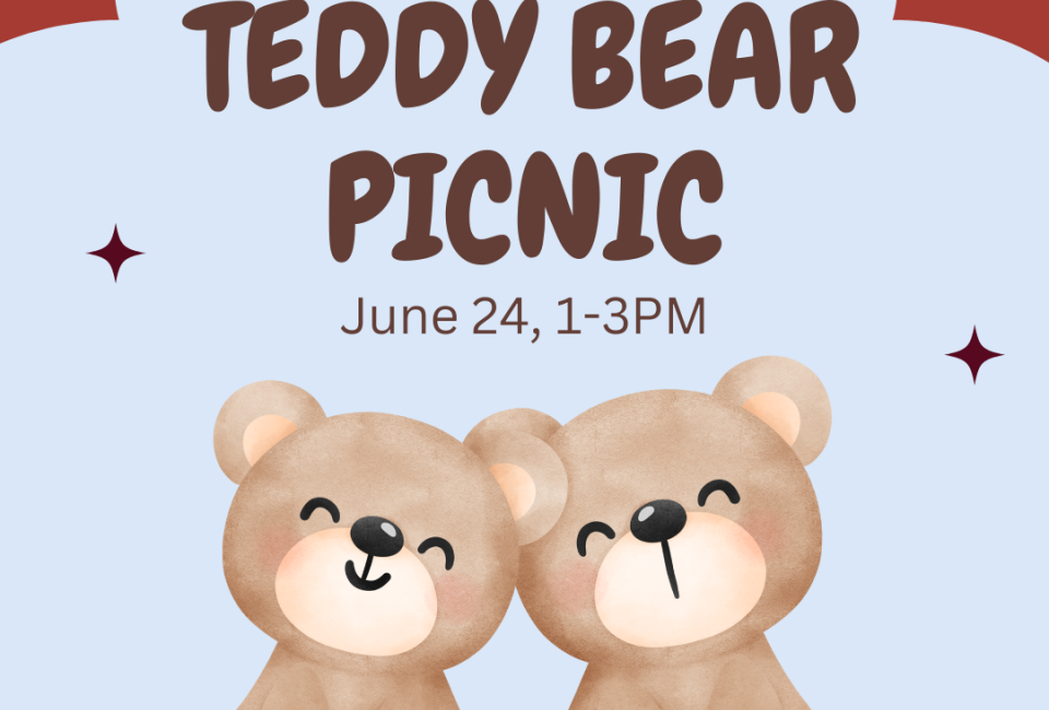 Teddy Bear Picnic at METC
