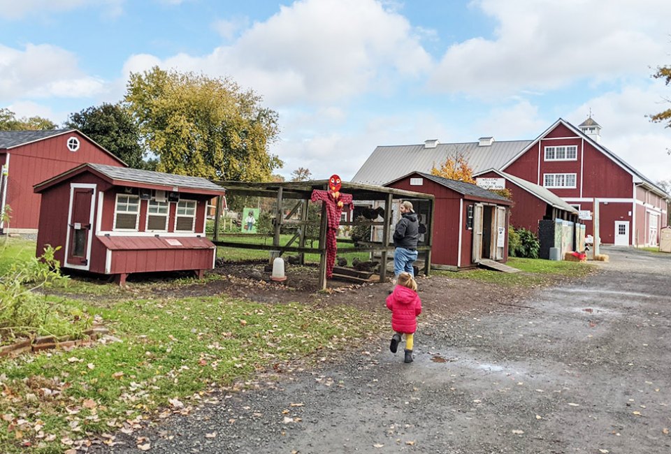 Fill an entire day at Terhune Orchards, where family-friendly fun on the farm abounds.