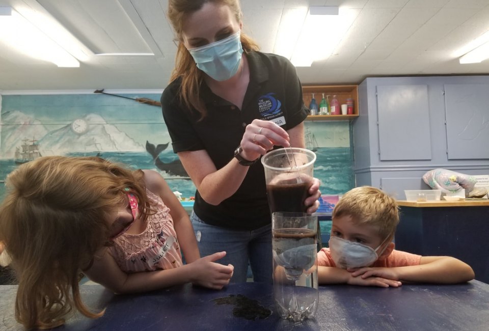 Take part in Ocean Science Sunday at The Whaling Museum. Photo courtesy of the museum
