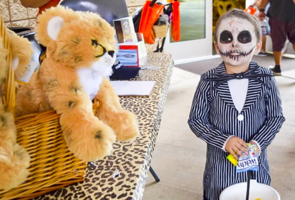 Howl-O-Ween has all kinds of animals for kids to meet, even stuffed ones! Photo courtesy of  The Living Desert