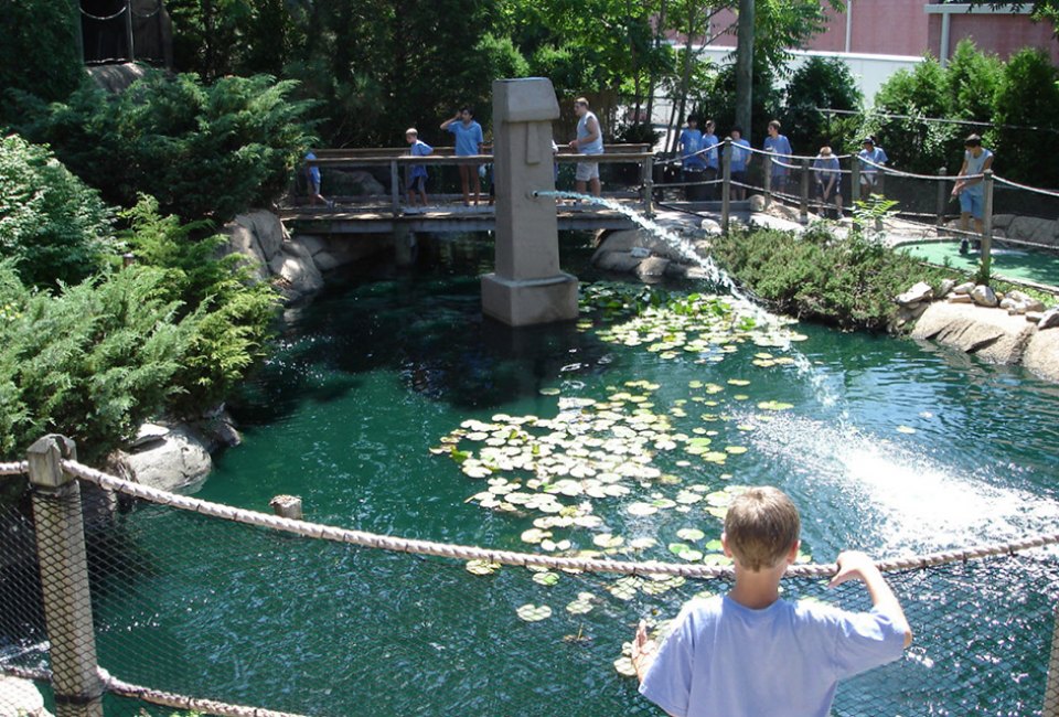 Tiki Action Park is a local amusement park offering mini golf and more