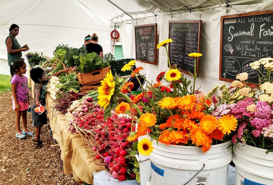 Visit the seasonal farm at the Queens County Farm Museum for fruit, vegetables, and flowers in a rainbow of colors. 