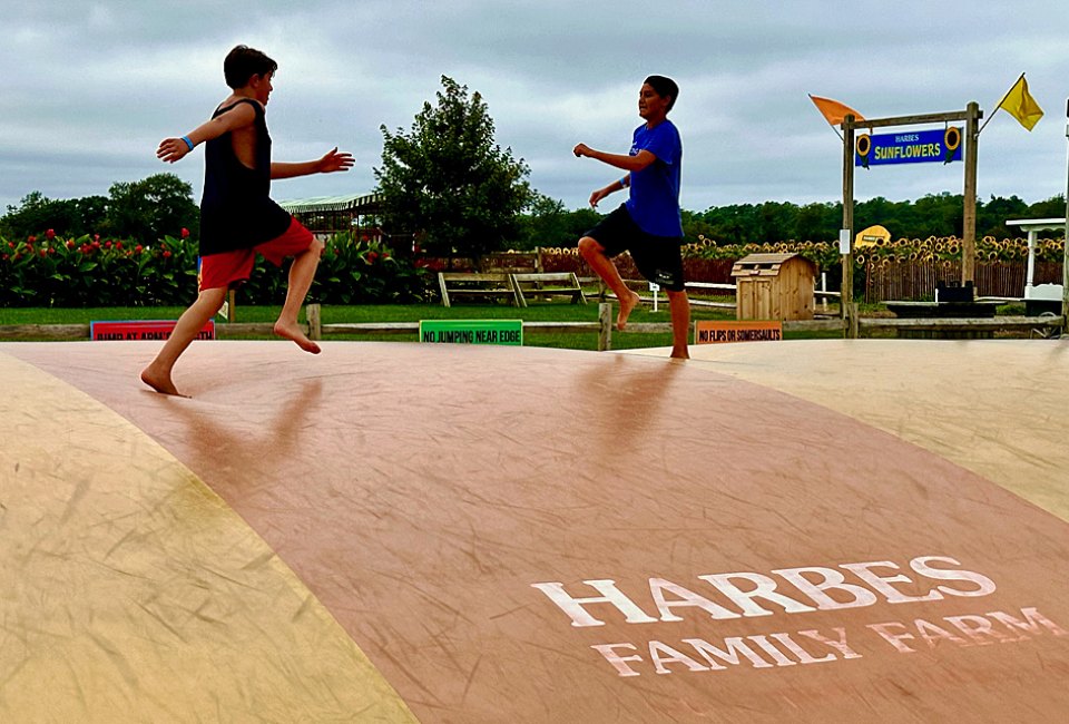 Load up on juicy watermelon then hit the Barnyard Adventure for all-ages fun at Harbes Family Farm. Photo by author