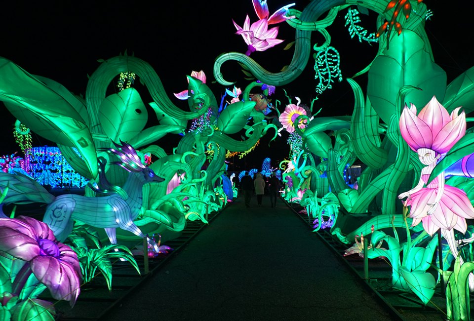 The Tianyu Lights Show lets visitors experience an enchanting night walk at Citi Field.