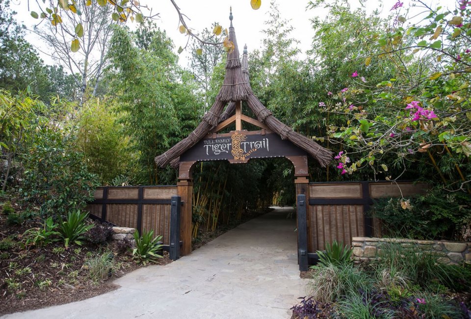See the San Diego Zoo Like a Local: Tiger Trail