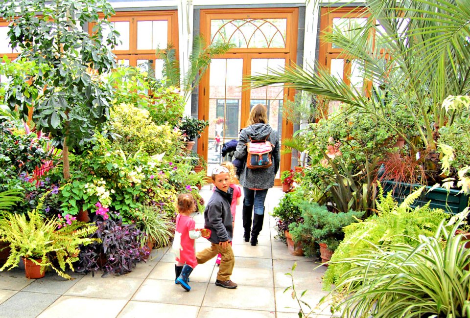 Photo of family in a greenhouse-Winter Activities in Boston