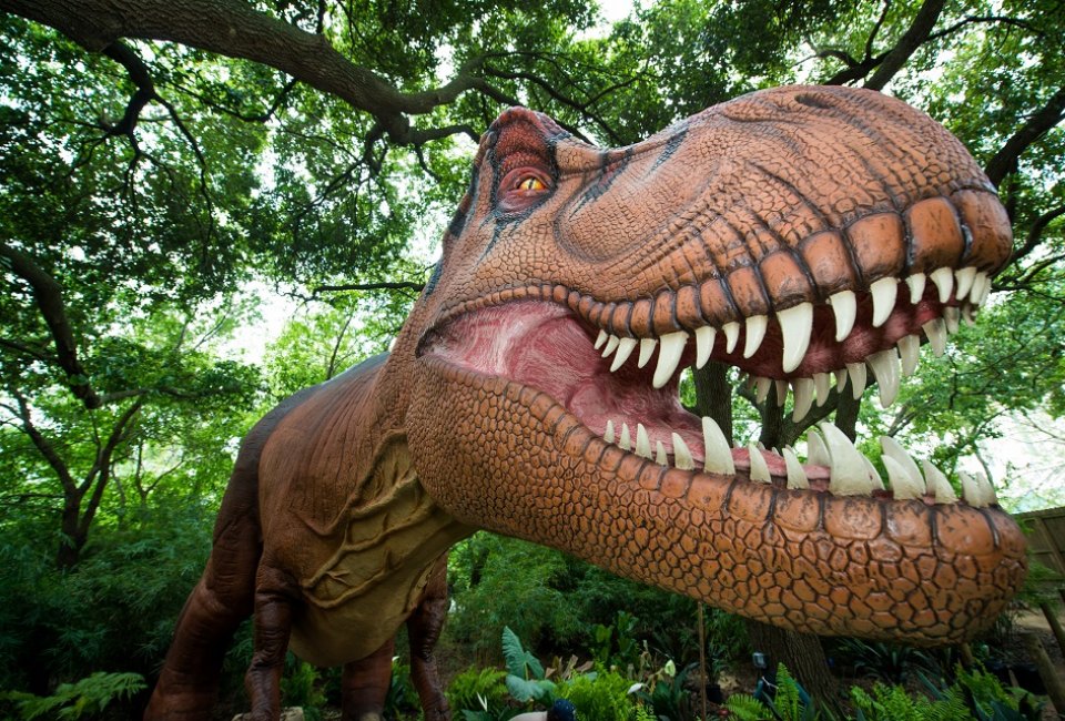 Meet the Big Daddy of dinosaurs at the Zoo's newest exhibit!/Photo courtesy of Stephanie Adams.