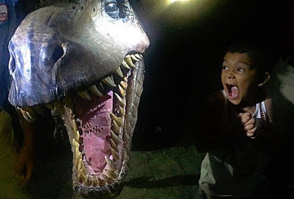 Watch out for the T-Rex at Dinosaurs After Dark on Saturday. Photo courtesy of Field Station: Dinosaurs
