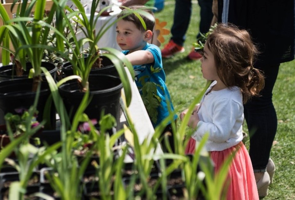 Tudor Tots: What’s Growing Now?