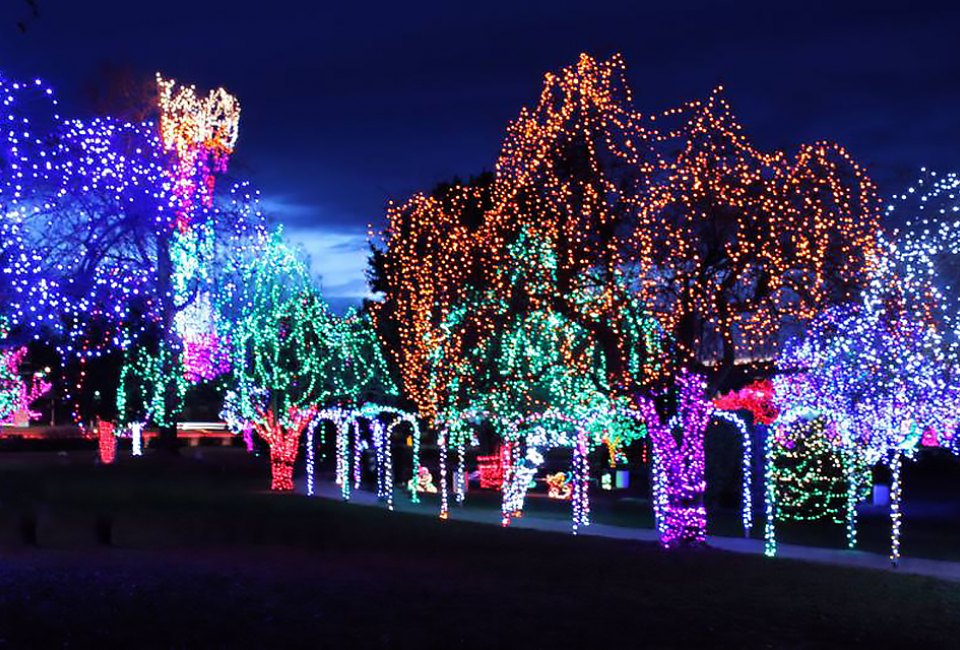 Turtle Back Zoo's FREE Holiday Lights display kicks off this weekend. Photo courtesy of the zoo