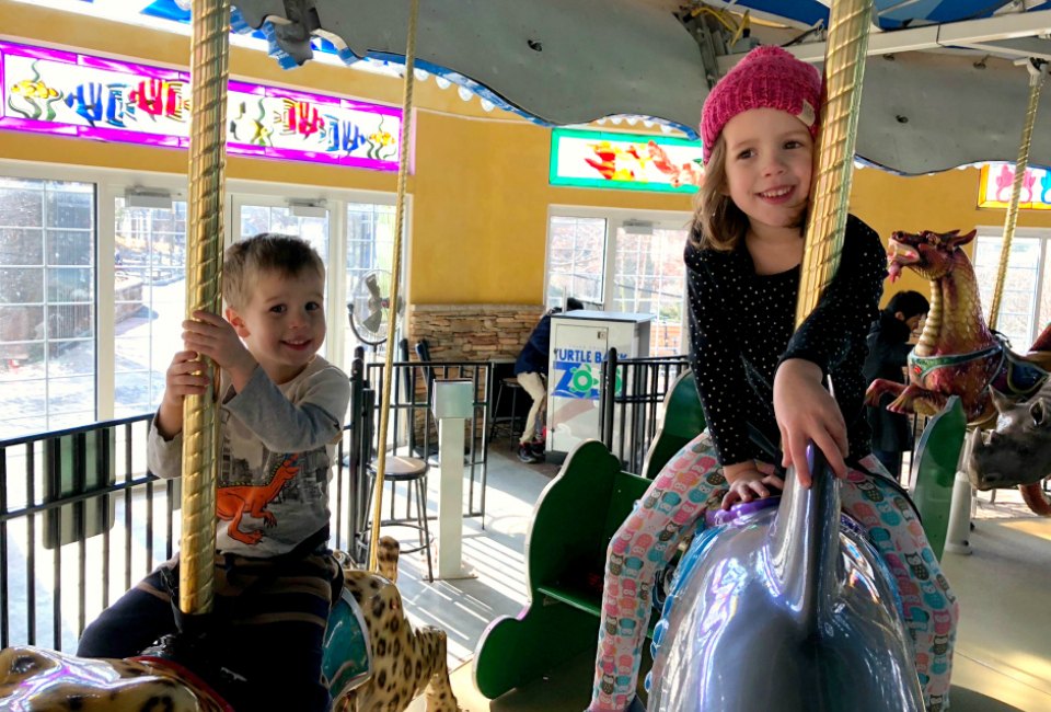 Host your party by the carousel at the Turtle Back Zoo! Photo by Mommy Poppins
