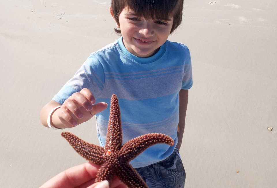 Catch tropical vibes on a visit to Tybee Island. Photo courtesy of the author