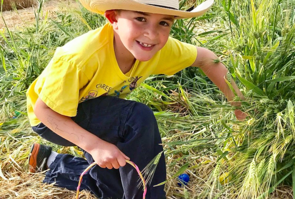 Springtime Easter fun. Photo courtesy of Underwood Family Farms