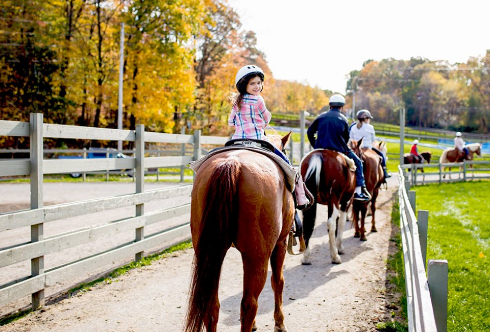 All-Inclusive Resorts: Rocking Horse Ranch
