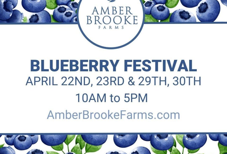 Blueberry Festival at Amber Brooke Farms