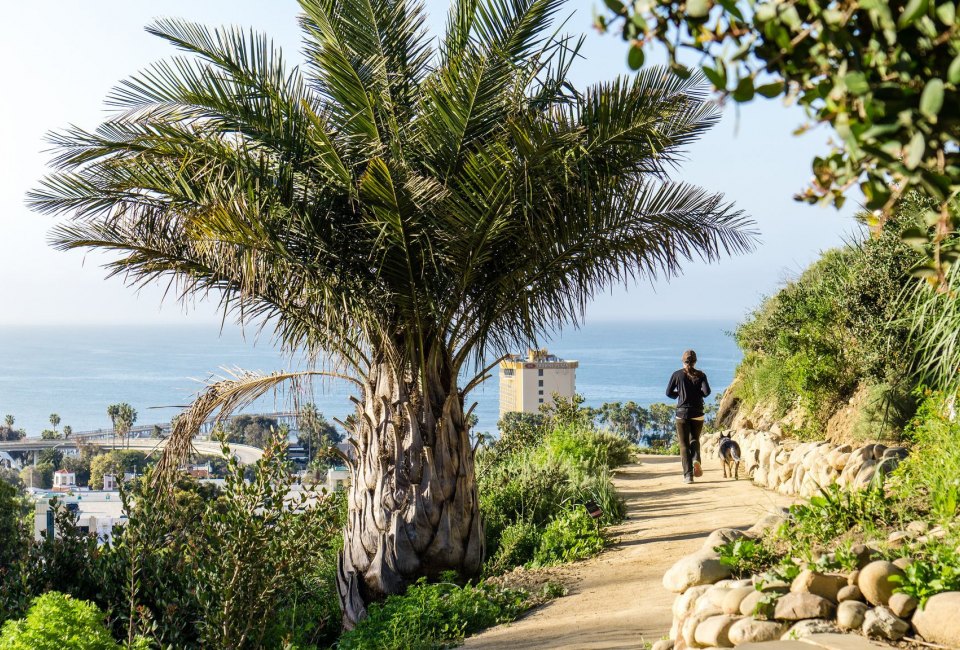 Ventura Botanical Garden is free on New Year's Day. Photo courtesy of Visit Ventura