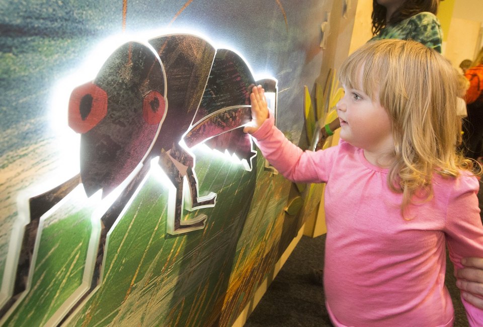 Get hands on at the Very Eric Carle exhibit. Photo by Larry Rippel