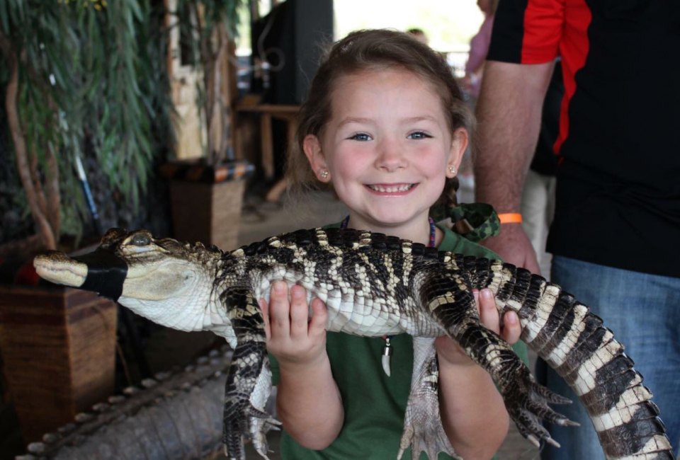 Photo courtesy of texasgatorfest.com