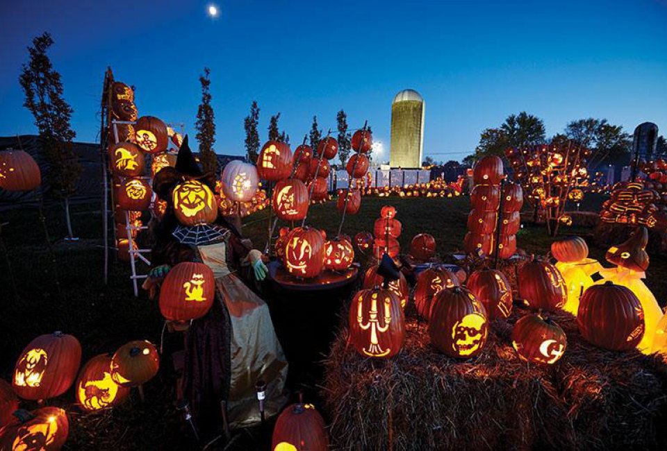 Delight in the lights at Wagner Farm Arboretum's Brite Nites Drive-Thru. Photo courtesy of the farm