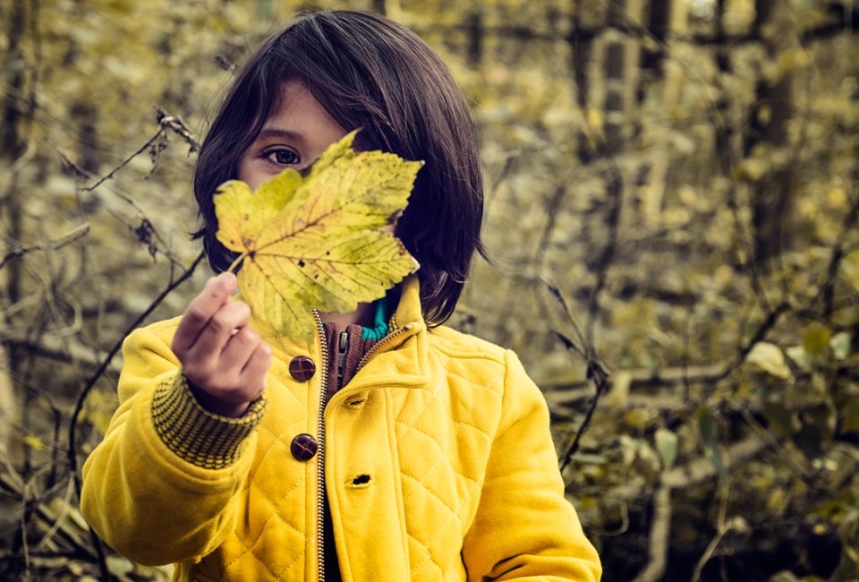 Among the best things to do in Boston with kids—enjoy Free Entrance Days in the National Parks this November! Photo by Philippe Put via Flicker  (CC BY-NC-ND 2.0)