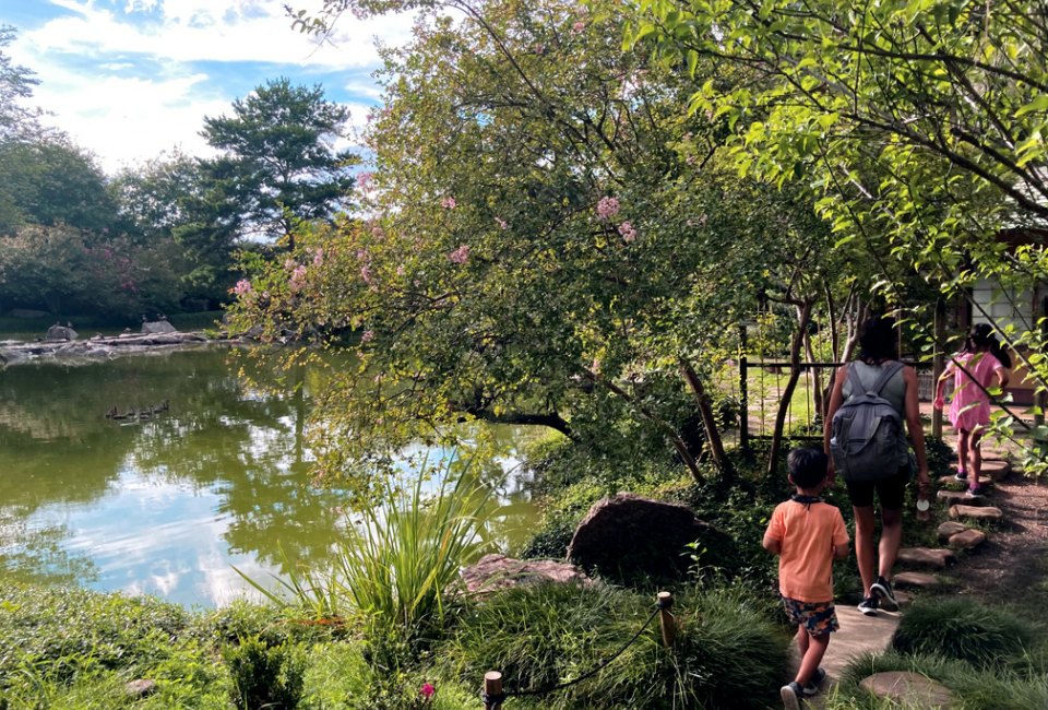 Walking inside Hermann Park's Japanese Garden. Photo courtesy of Vicky Li Yip.