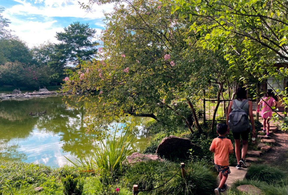 The Japanese Gardens in Hermann Park