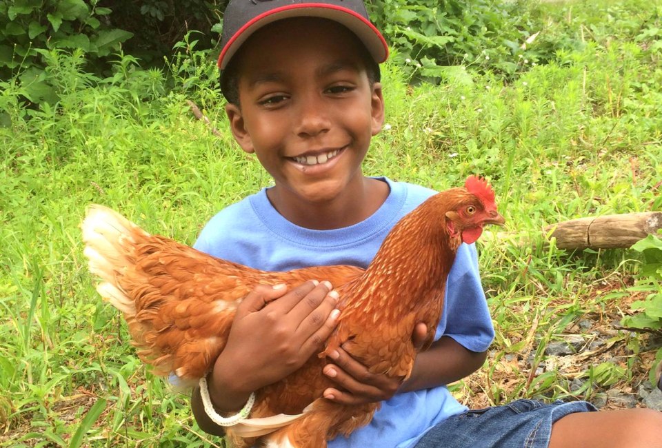 Making new friends at Waltham Fields Community Farm. Photo courtesy of the farm