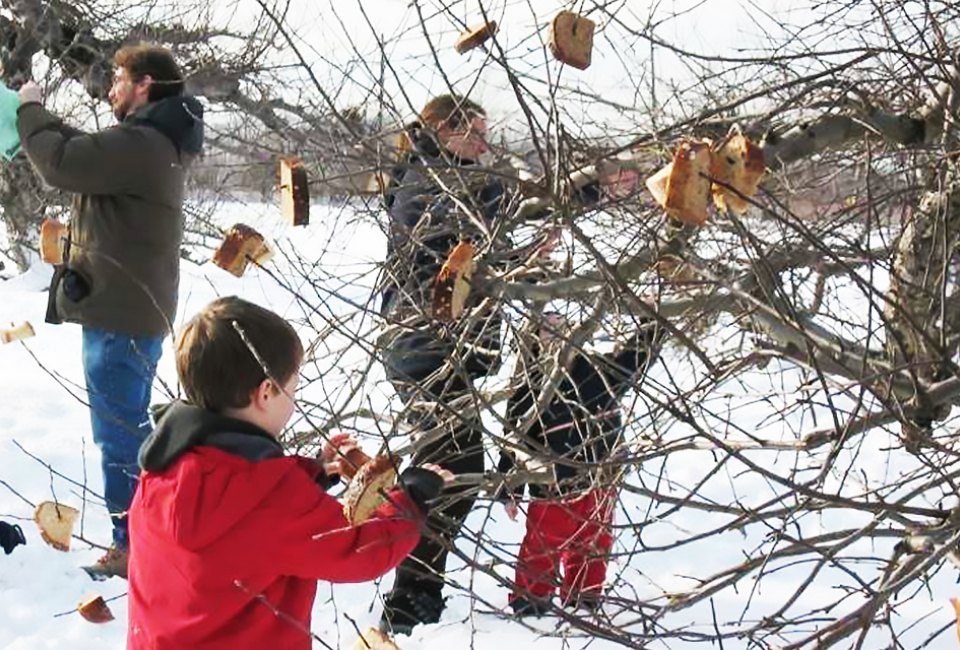 Celebrate the ancient British tradition of Wassailing the Apple Trees at Terhune Orchards this winter. Photo courtesy of the orchard