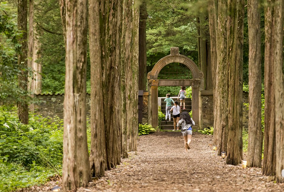 Roam the the cedar walk and gardens at Caramoor for a free, fun outing. Photo by Gabe Palacio