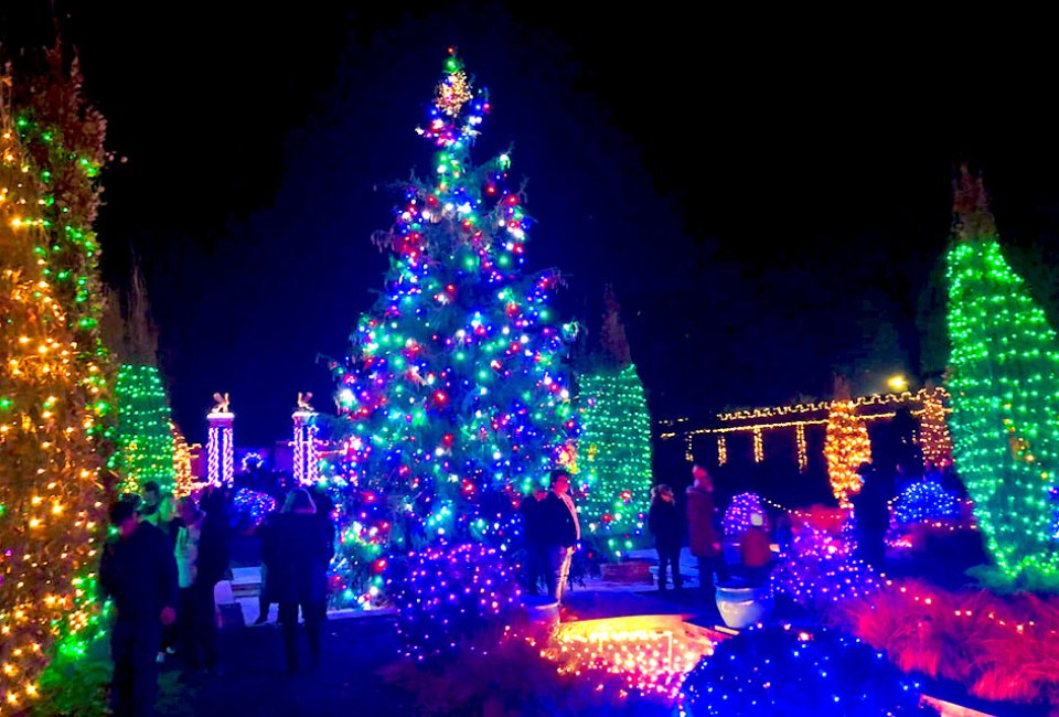 Untermyer Garden's Grand Holiday Illumination runs nightly from Friday, December 8, 2023-Monday, January 1, 2024. Photo courtesy of Untermyer Gardens